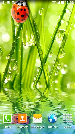 Macro Photos Live Wallpaper screenshot 2