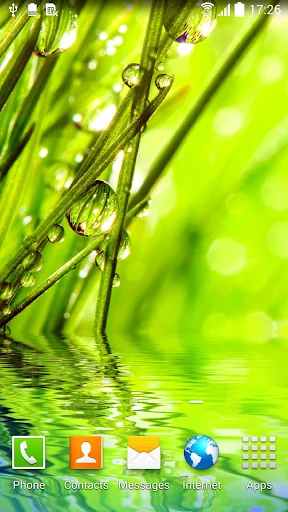 Macro Photos Live Wallpaper screenshot 3