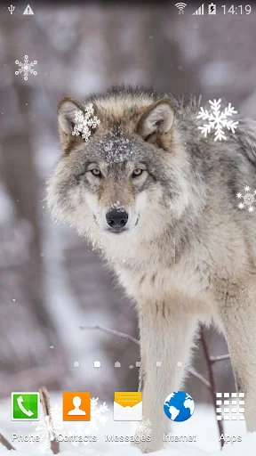 Wolf Live Wallpaper screenshot 2