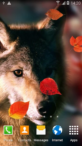 Wolf Live Wallpaper screenshot 4