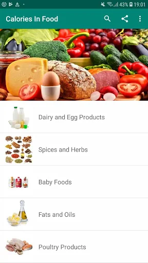 Calories Food Calculator