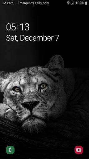 Best Black Lion Wallpaper FHD