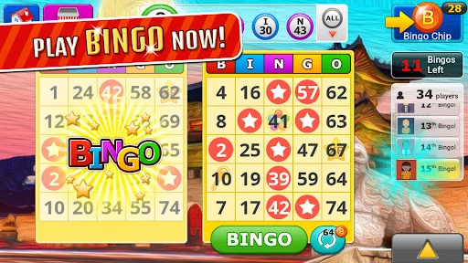 Bingo Craze screenshot 2