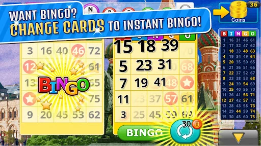 Bingo Craze screenshot 4