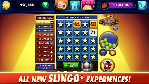 Slingo Arcade - Slots & Bingo screenshot 3