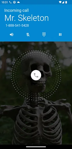 Fake Call