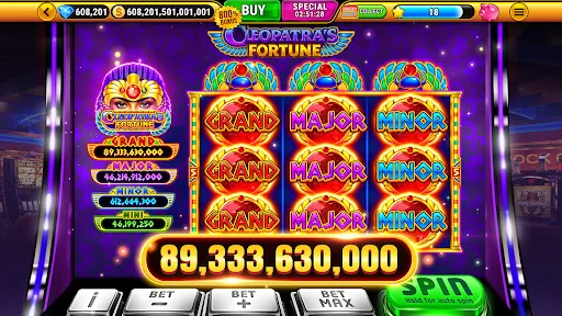 Wild Classic Slots Casino Game