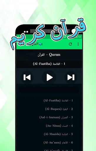 قرآن کریم - پښتو screenshot 3