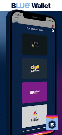 Blue Wallet