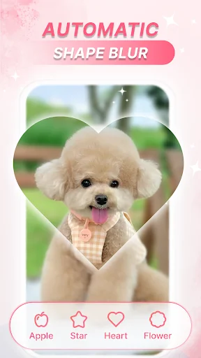 Blur Photo Auto Focus screenshot 3