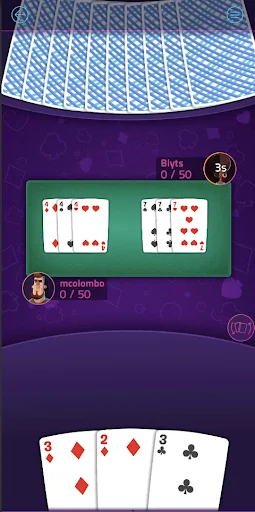 Gin Rummy Blyts screenshot 2