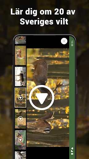 Jägarexamen Lite screenshot 3