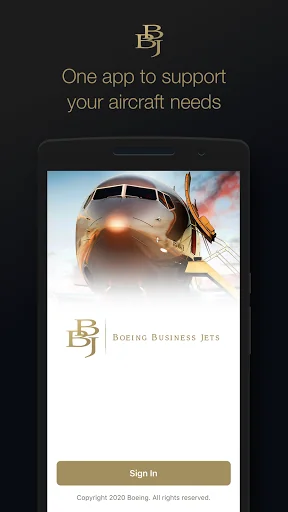 Boeing Business Jets