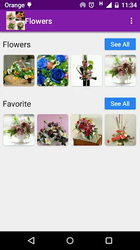 1000 flower arrangements screenshot 1