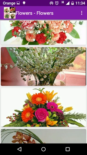 1000 flower arrangements screenshot 2