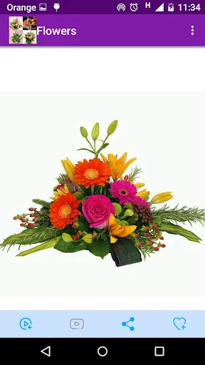 1000 flower arrangements screenshot 3