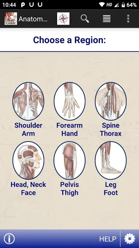 AnatomyMapp