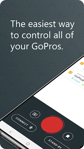 GoPro ProTune Bluetooth Remote