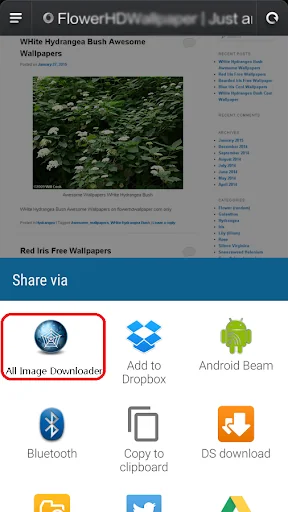 All Image Downloader - Search