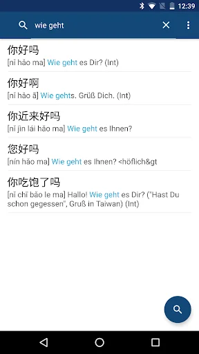 Chinese German Dictionary