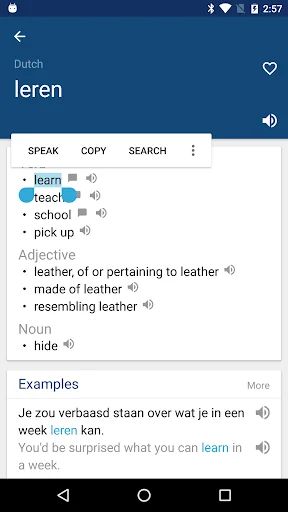 Dutch English Dictionary screenshot 2