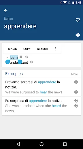 Italian English Dictionary screenshot 2