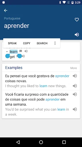 Portuguese English Dictionary