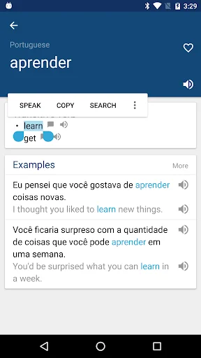 Portuguese English Dictionary