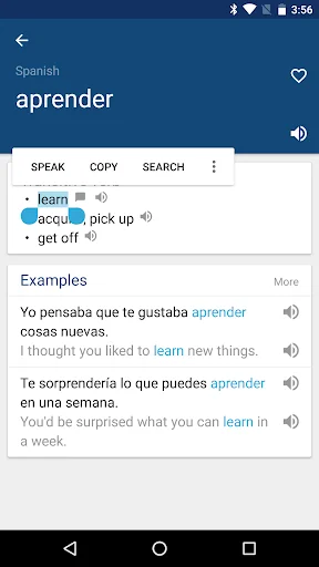 Spanish English Dictionary
