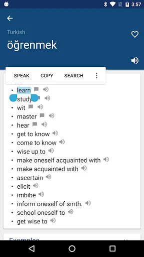 Turkish English Dictionary screenshot 1