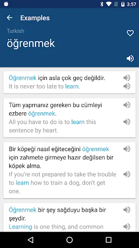 Turkish English Dictionary screenshot 2