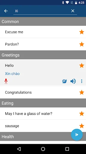 Learn Vietnamese Phrases screenshot 4