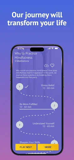 Brightmind Meditation screenshot 3