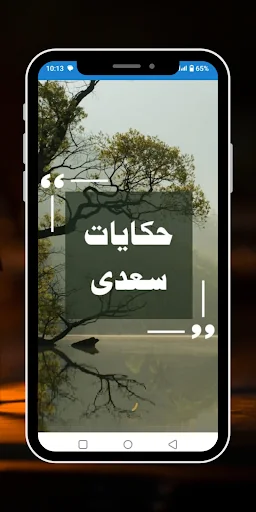 Sheikh Saadi Life And Hikayat