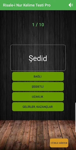 Risale-i Nur Kelime Testi Pro 
