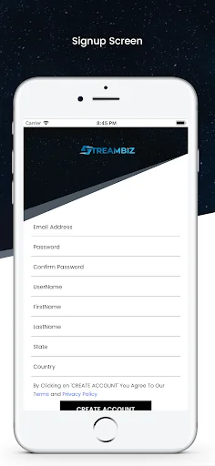 StreamBiz