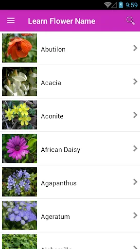 Learn Flower Name
