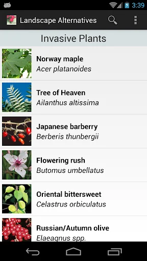 Landscape Alternatives