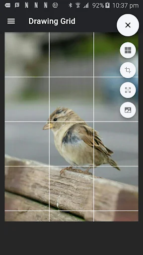 Drawing Grid