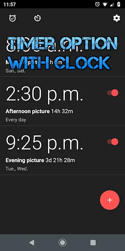 Timer Camera