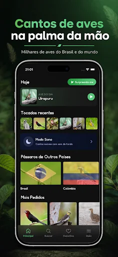 Sounds of birds screenshot 1