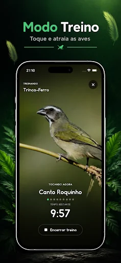 Sounds of birds screenshot 4