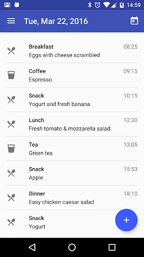 Diet Diary