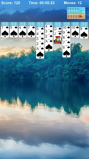 Spider Solitaire Pro