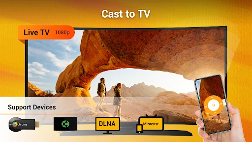 Cast Video/Picture/Music to TV