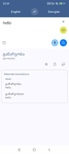 Georgian English Translate screenshot 1