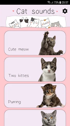 Cat Sounds