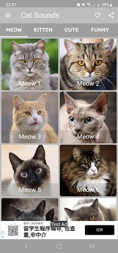 Cat Sounds - Meow Noises screenshot 1