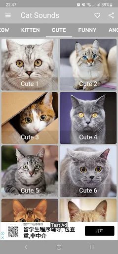 Cat Sounds - Meow Noises screenshot 2