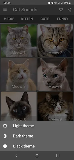 Cat Sounds - Meow Noises screenshot 4